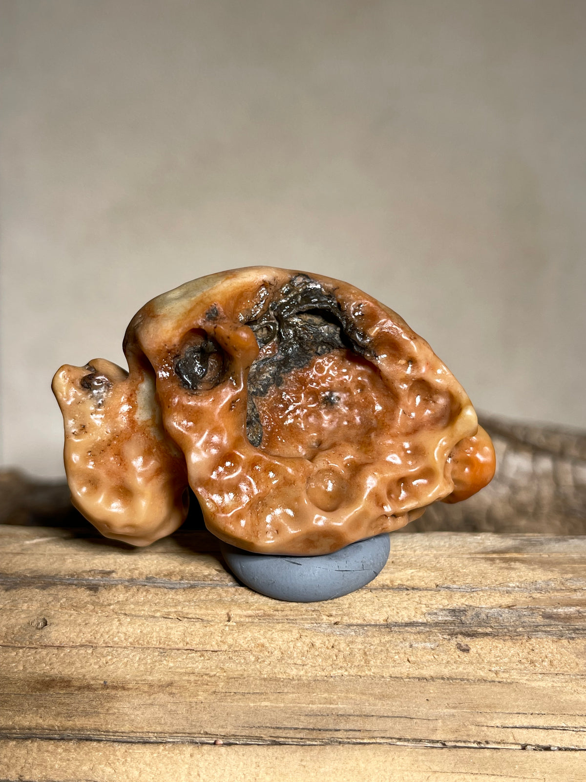 (1119)Natural Alxa Gobi Desert Varnish Stone - Bird-like Mimetolith