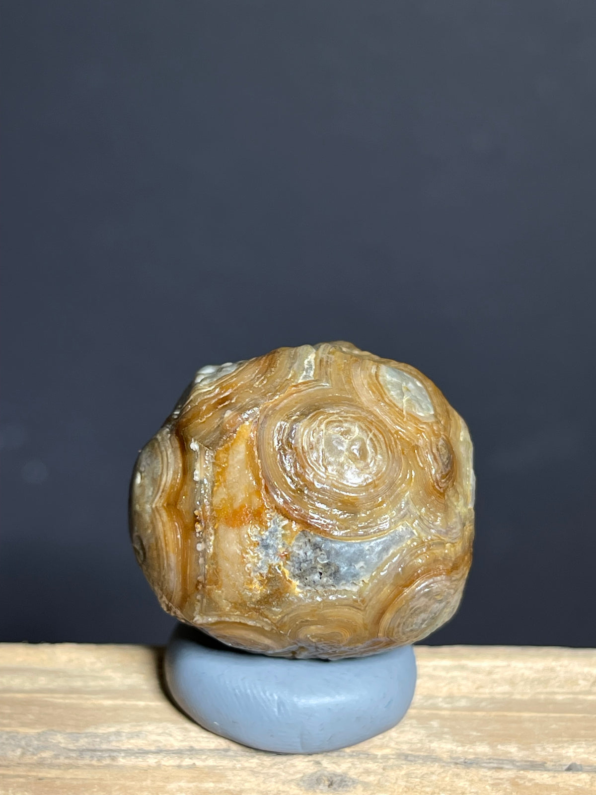 (1138) Natural Alxa Gobi Eye — Concentric Orbicular Banding
