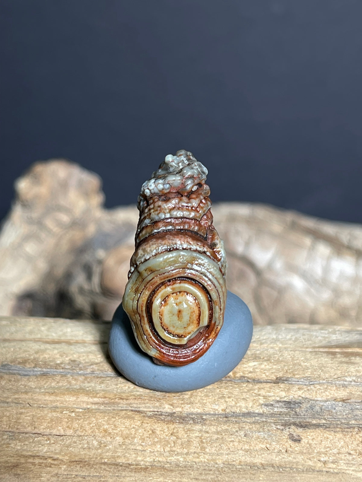 (1083)Natural Alxa Gobi Eye Agate - Large Raised Orbicular Eye with Botryoidal Texture