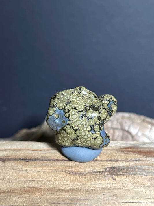 (1002)Alxa Gobi Eye Agate with Animal-Like Natural Form - Zuozi Mountain