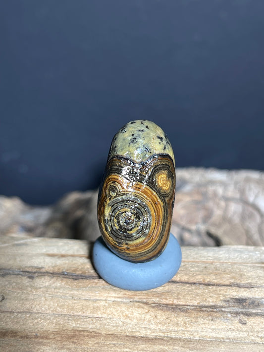 (1016)Natural Alxa Gobi Eye Agate - Yellow- Green Stone with Dark Concentric Eyes
