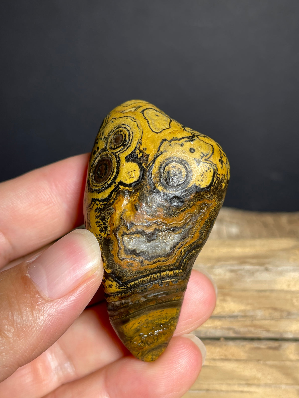 (1133) Natural Alxa Gobi Eye Agate – Golden Orbicular Patterns& Face-Like Mimetolith