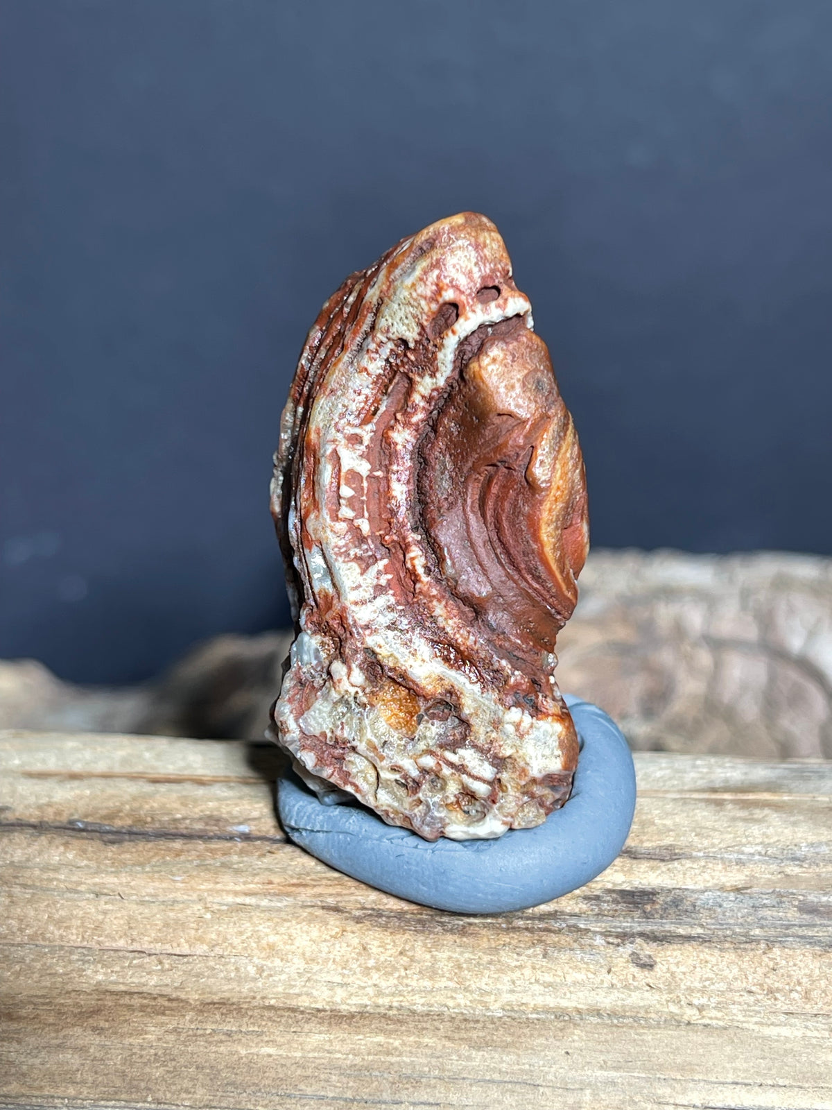 (1025)Natural Alxa Gobi Eye Agate - Raised Concentric Eye with Layered Bands