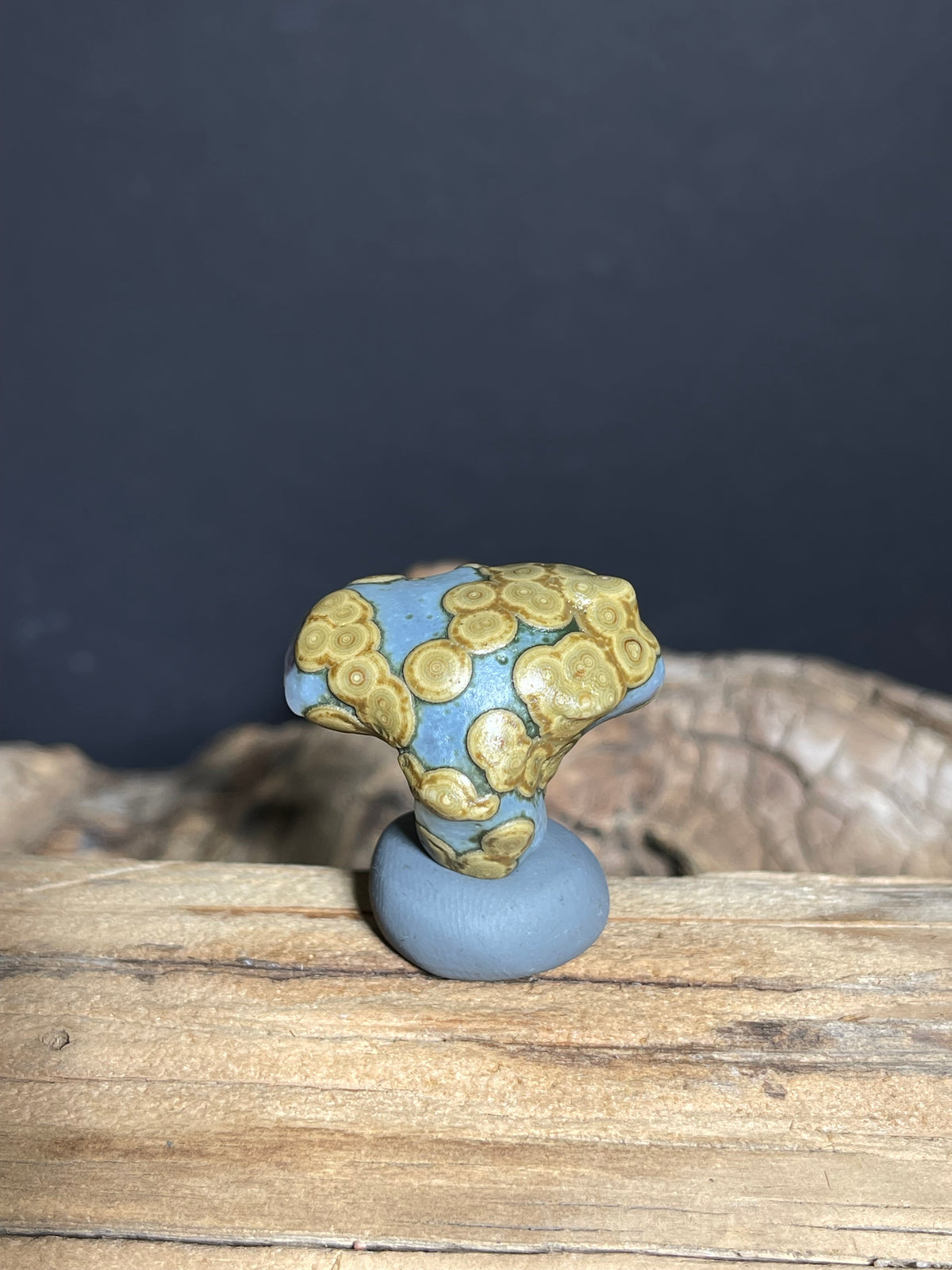 (1018)Natural Alxa Gobi Eye Agate - Blue Gray Stone with Golden Orbicular Eyes