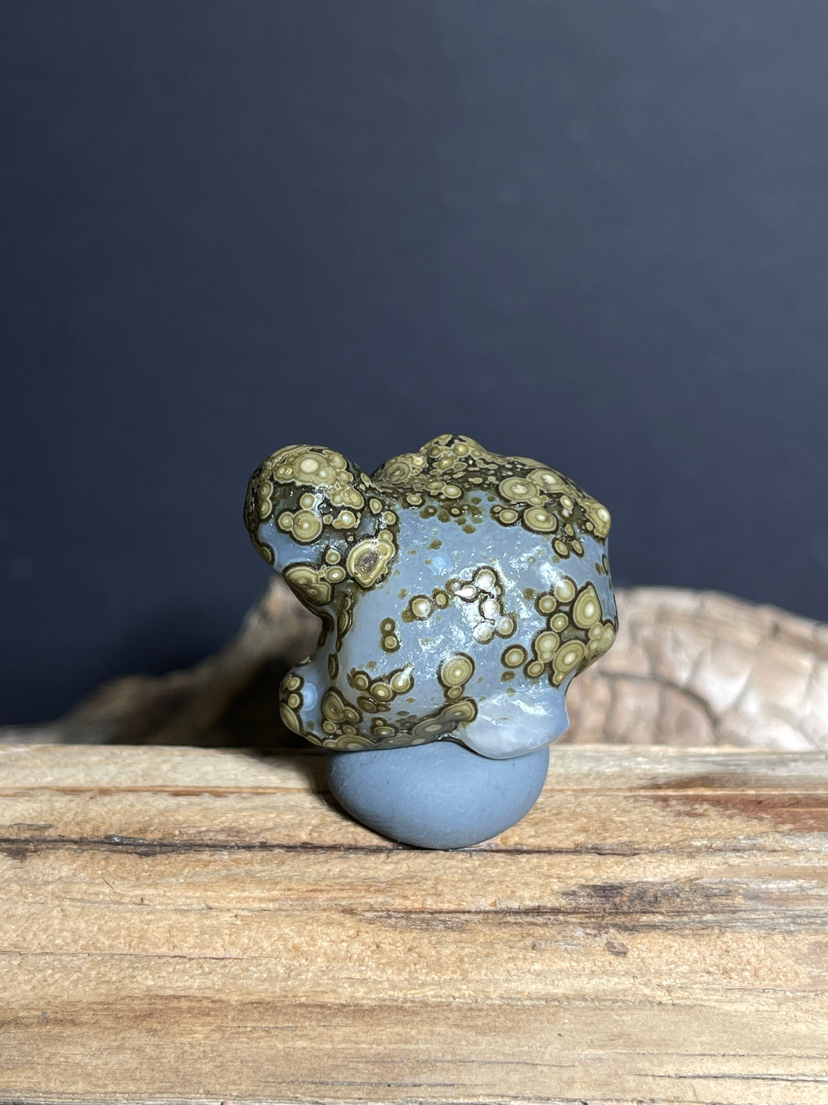 (1002)Alxa Gobi Eye Agate with Animal-Like Natural Form - Zuozi Mountain