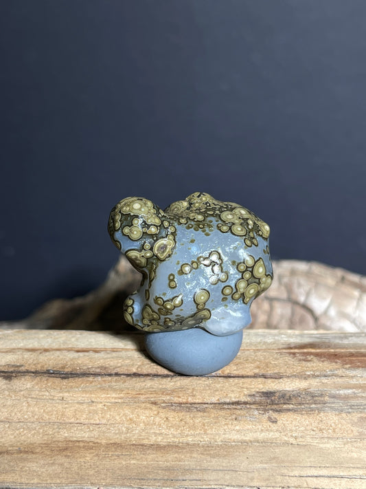 (1002)Alxa Gobi Eye Agate with Animal-Like Natural Form - Zuozi Mountain