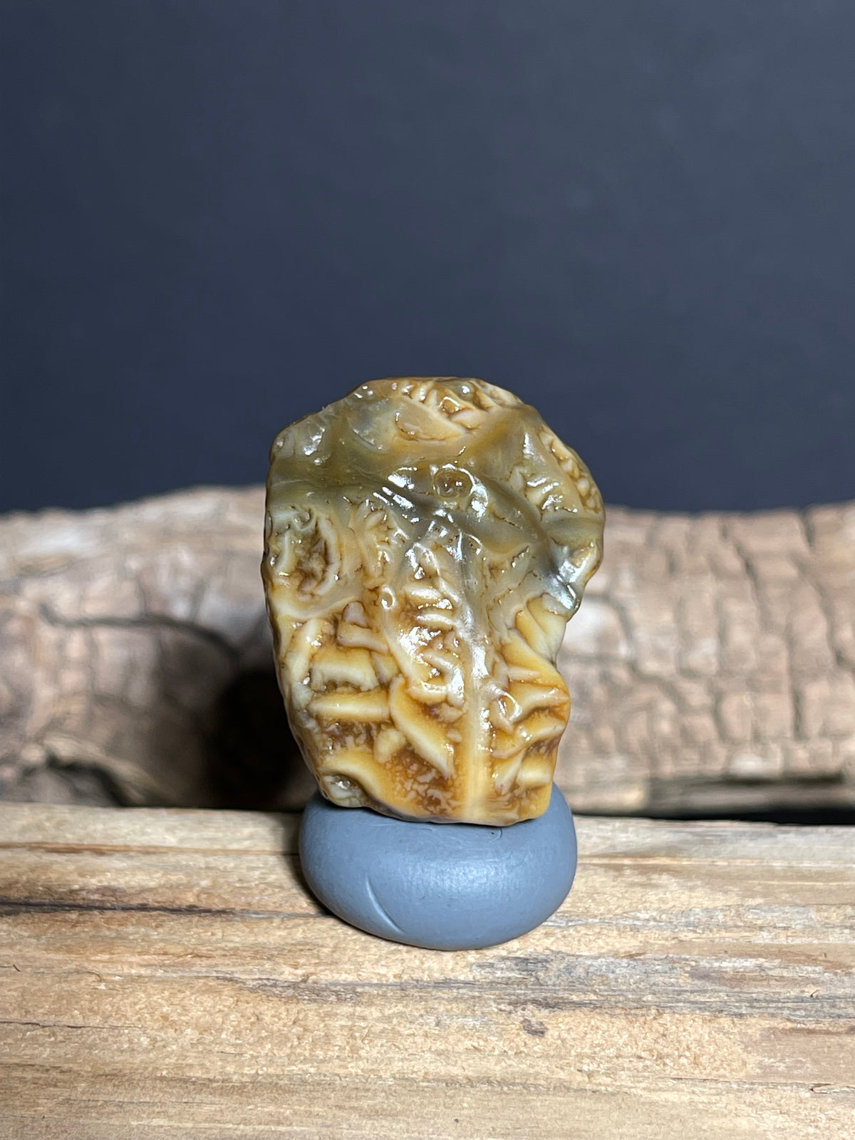 (1071)Natural Alxa Gobi Vein Agate - Branching Vein Patterns