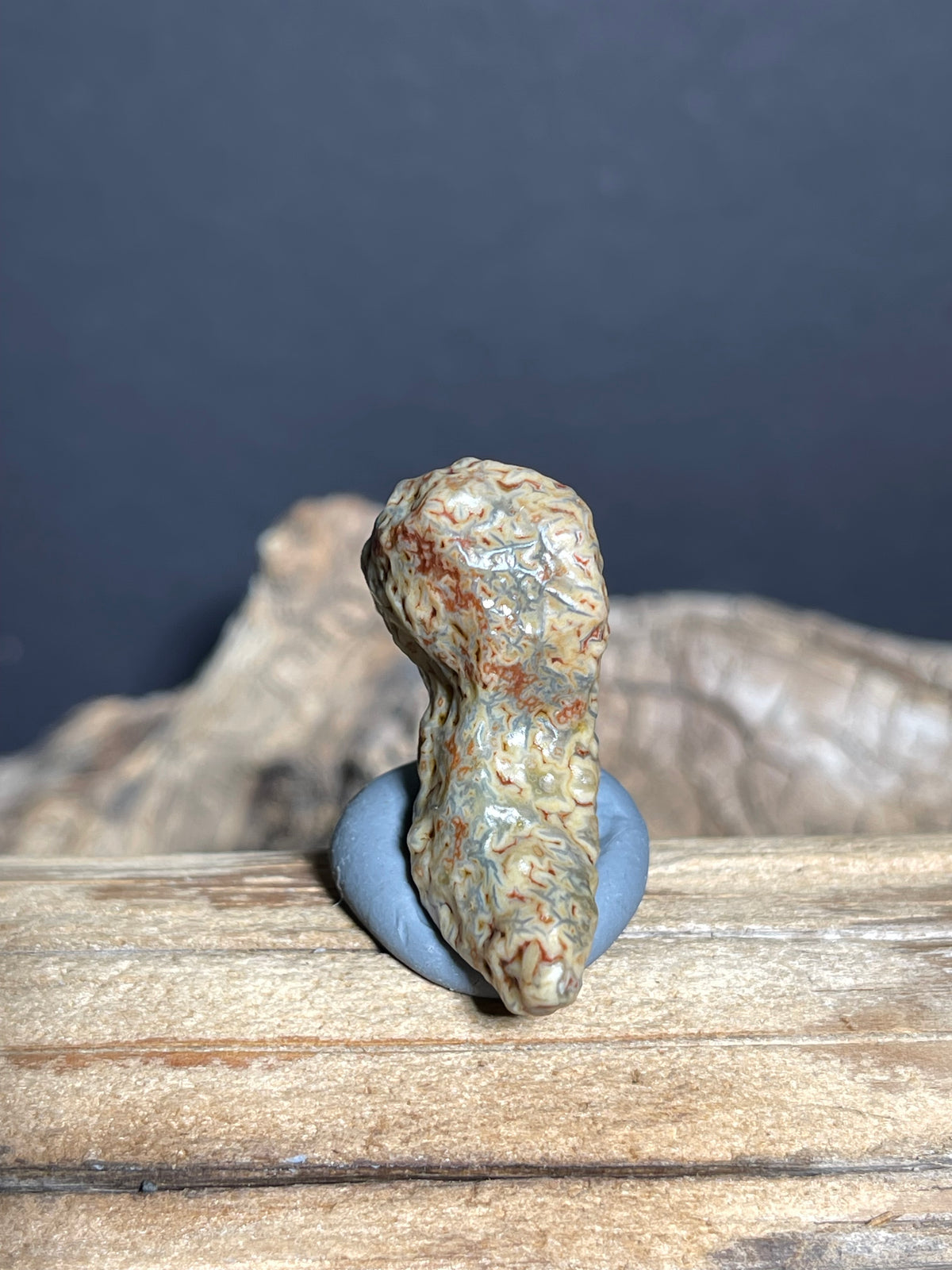 (1032)Natural Alxa Gobi Vein Agate - Curved Sculpture Stone with Intricate Patterns