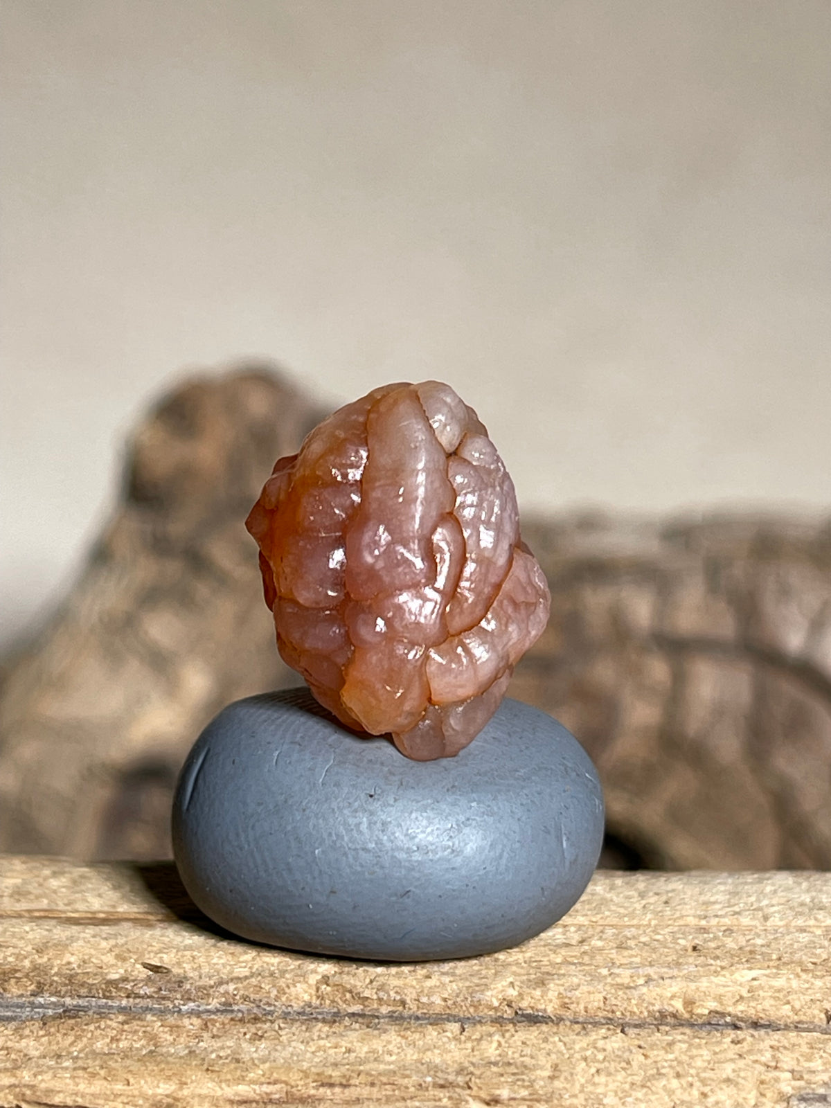 (1118)Natural Alxa Gobi Bloodline Vein Agate - Translucent Orange Botryoidal Specimen