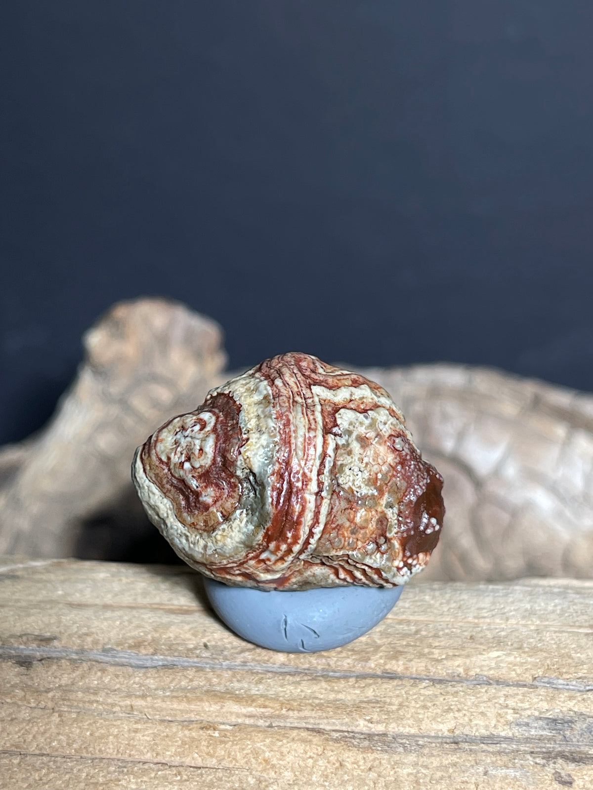 (1093)Natural Alxa Gobi Eye Agate - Orbicular Eye Pattern Specimen