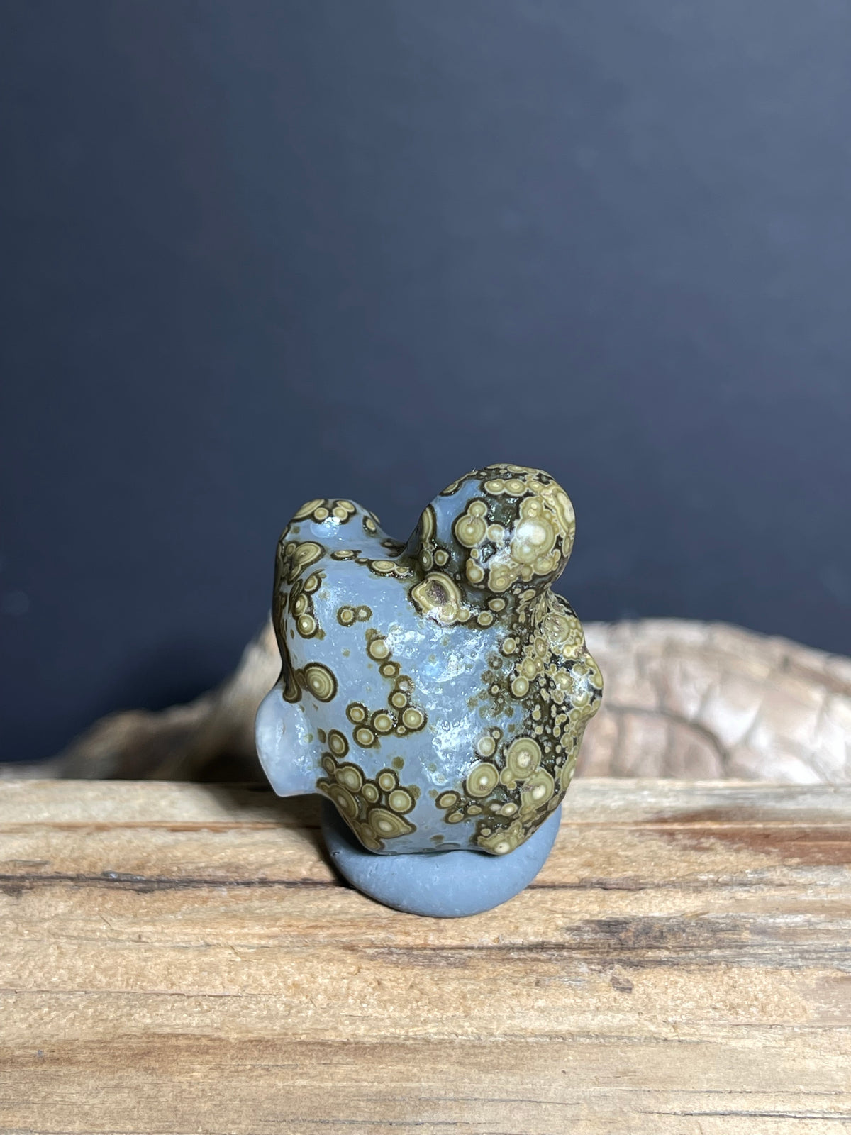 (1002)Alxa Gobi Eye Agate with Animal-Like Natural Form - Zuozi Mountain