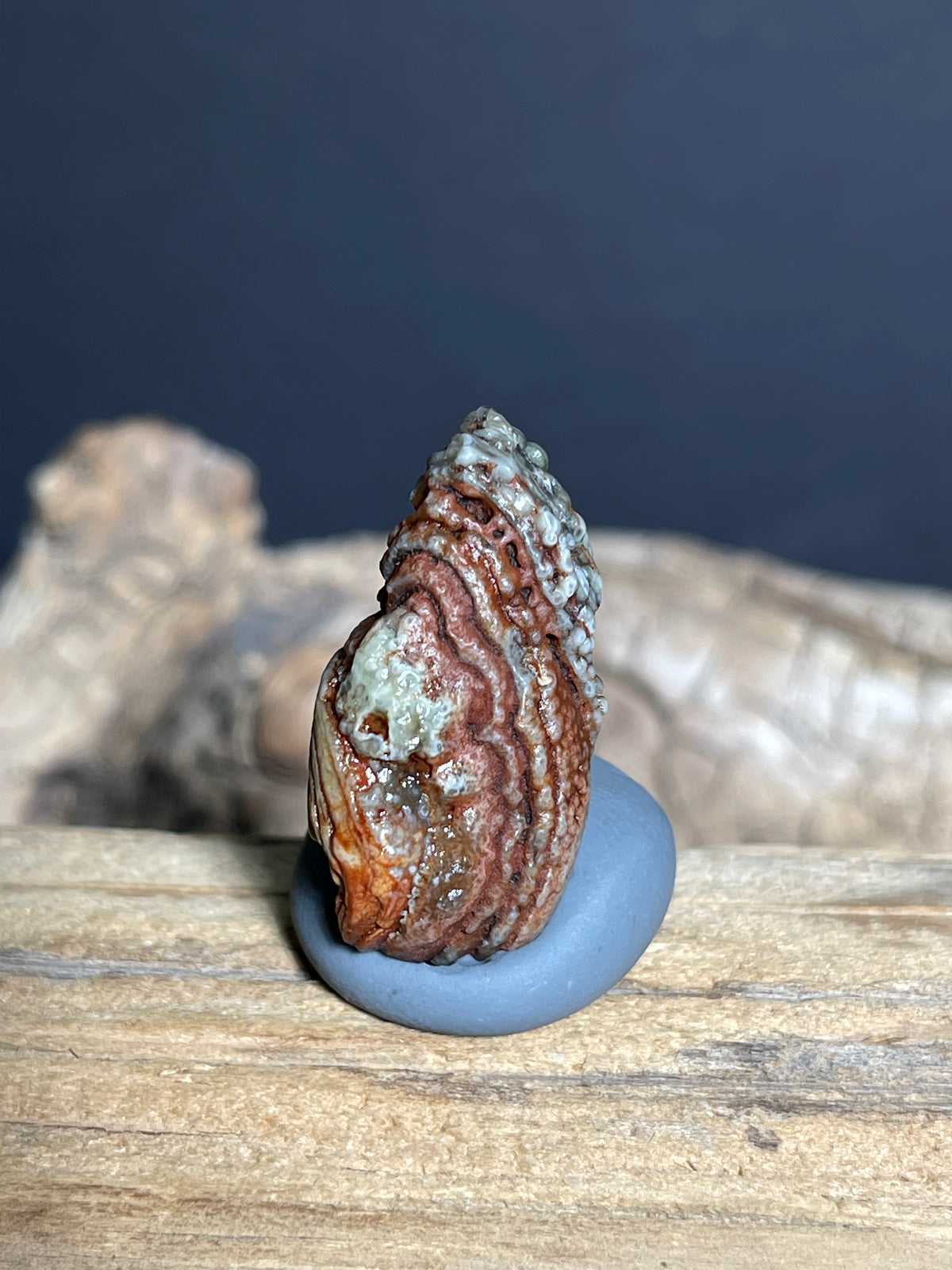 (1083)Natural Alxa Gobi Eye Agate - Large Raised Orbicular Eye with Botryoidal Texture