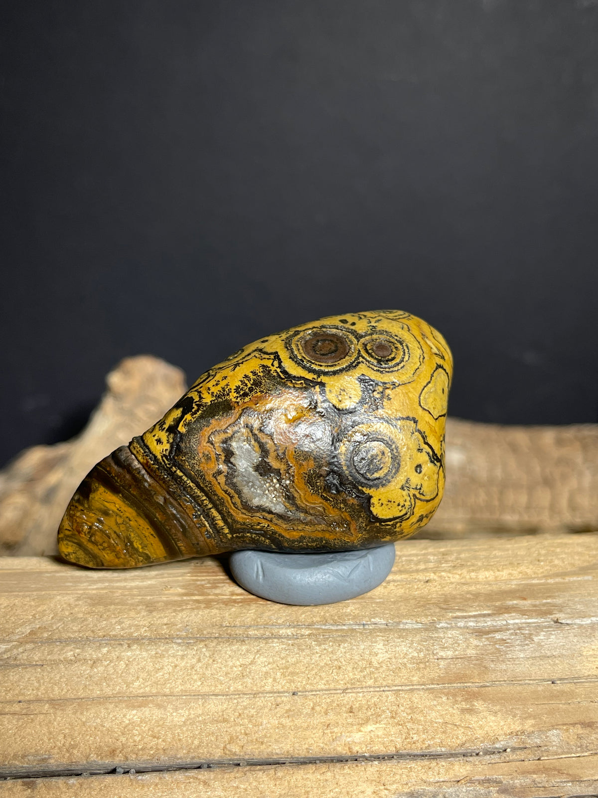 (1133) Natural Alxa Gobi Eye Agate – Golden Orbicular Patterns& Face-Like Mimetolith