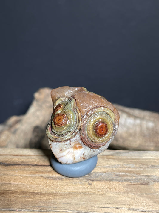 (1052)Natural Alxa Gobi Eye Agate - Multi-Eye Red & Green Collector Stone