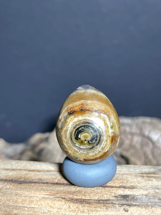 (1020)Natural Alxa Desert Gobi Eye Agate Pendant - Polished Drilled Stone with Concentric Eye