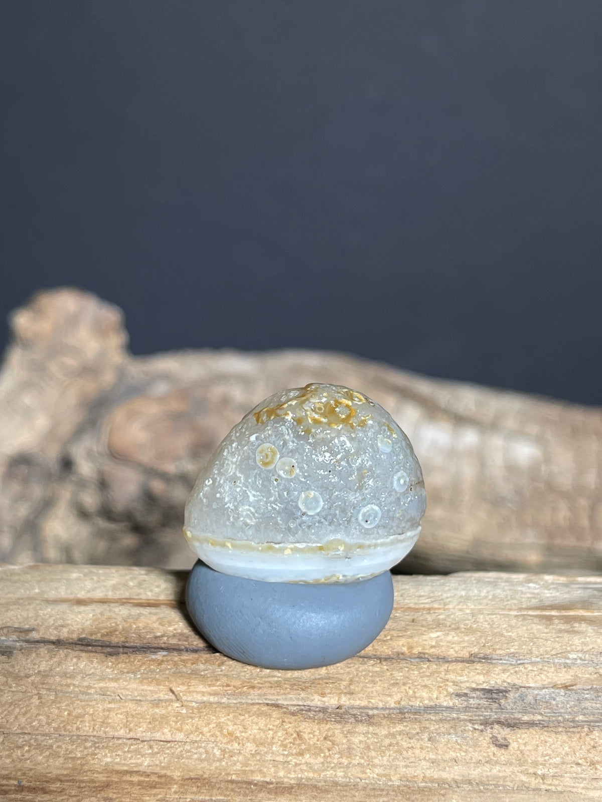 (1060)Natural Alxa Gobi Eye Agate - Fish-Shaped Mimetolith