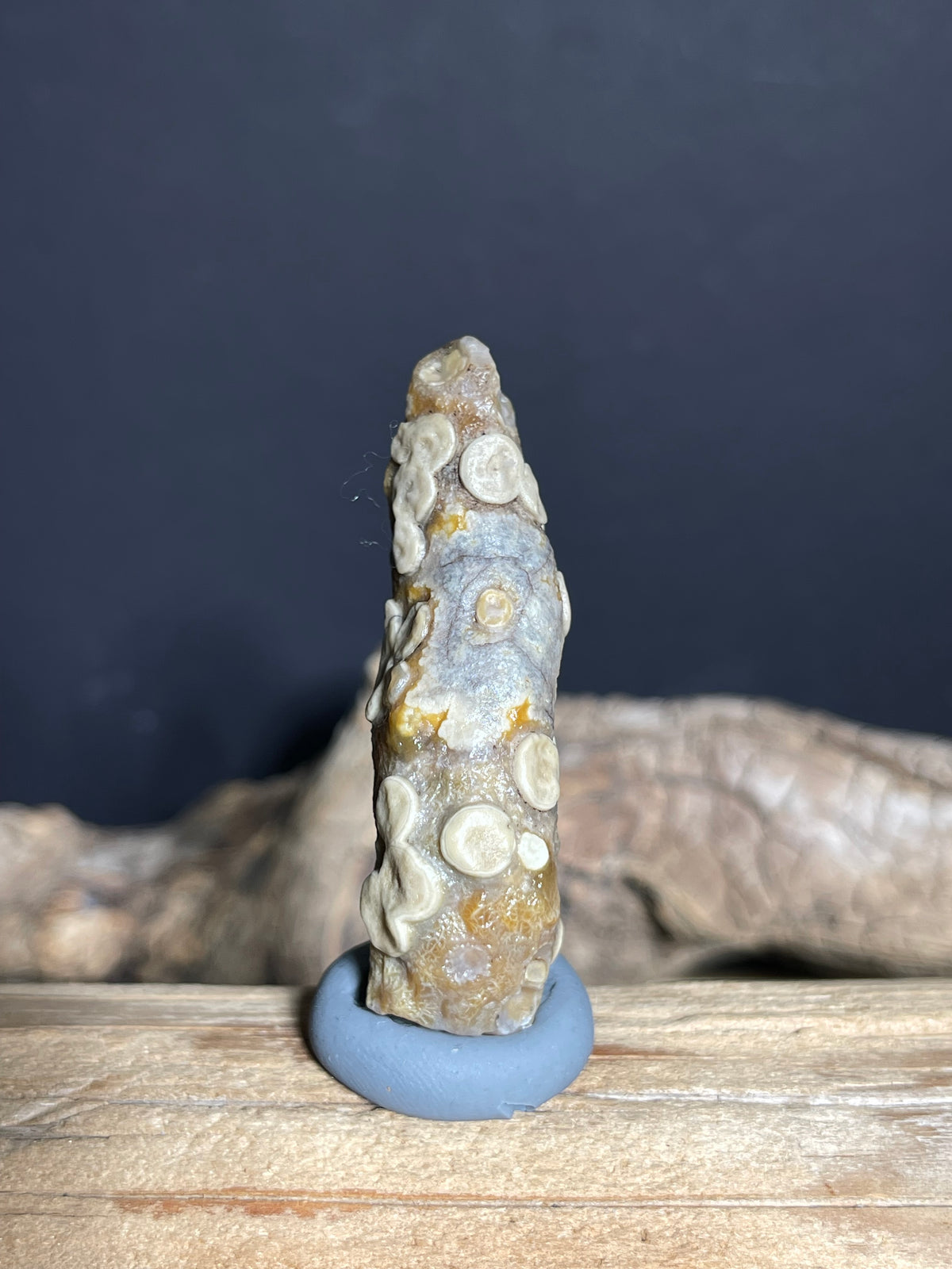 (1030)Natural Alxa Gobi Eye Agate - Elongate Stone with Raised Multi-Eye Patterns