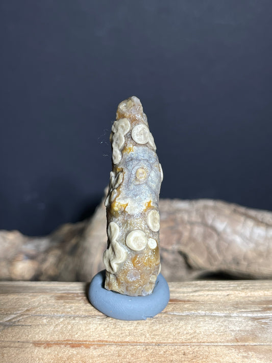 (1030)Natural Alxa Gobi Eye Agate - Elongate Stone with Raised Multi-Eye Patterns