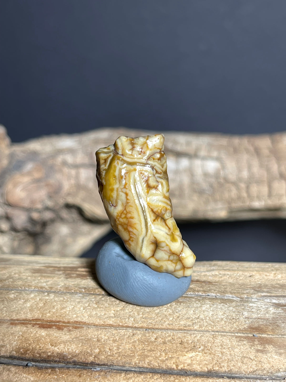 (1076)Natural Alxa Gobi Vein Agate - Tooth-Like Shape with Intricate Golden Patterns