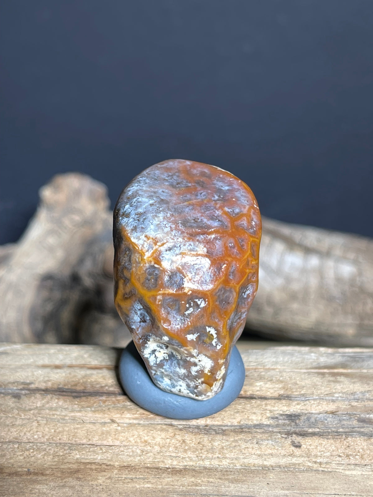 (1058)Natural Alxa Gobi Vein Agate - Orange Network Pattern Desert Stone