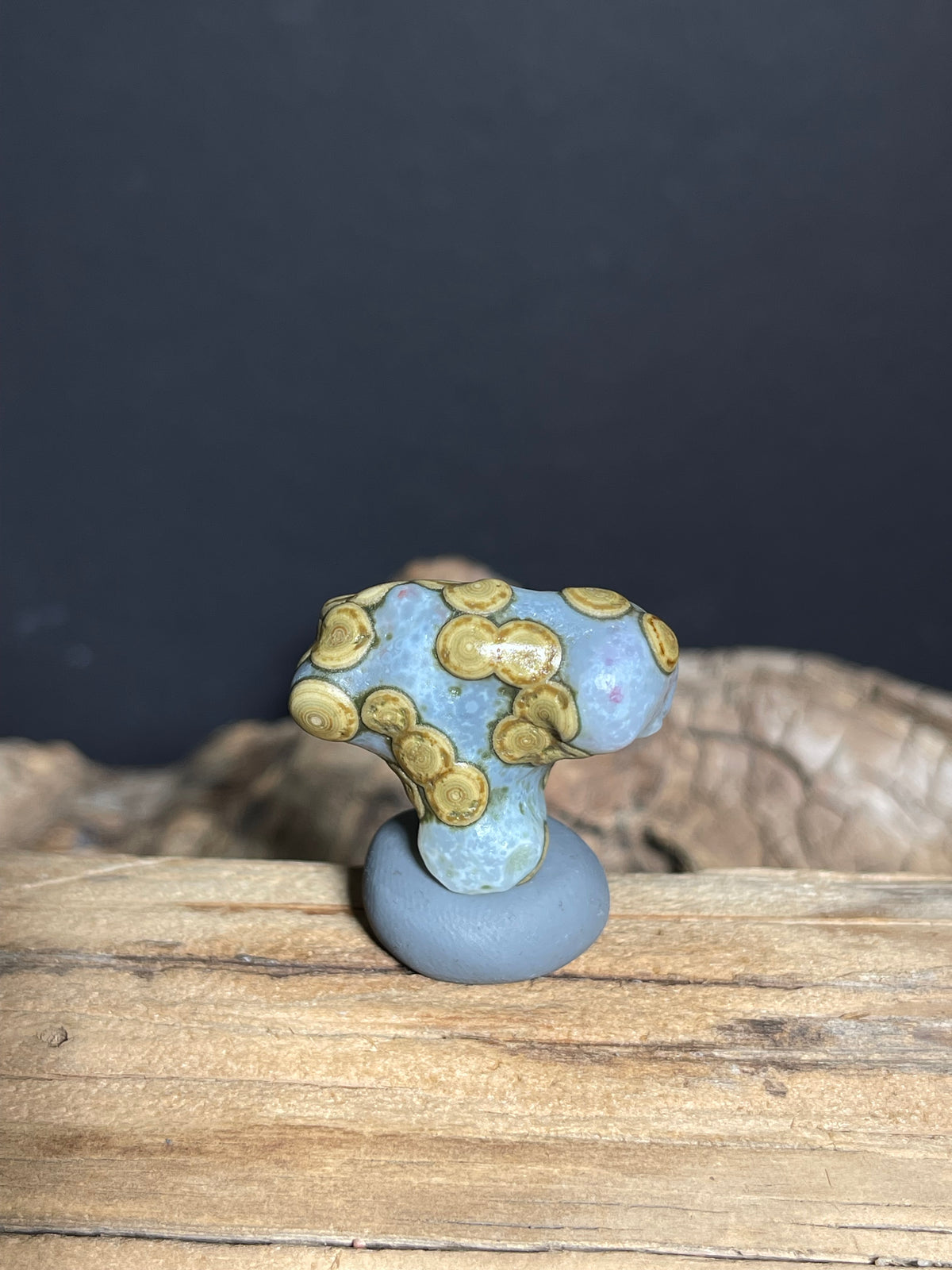 (1018)Natural Alxa Gobi Eye Agate - Blue Gray Stone with Golden Orbicular Eyes