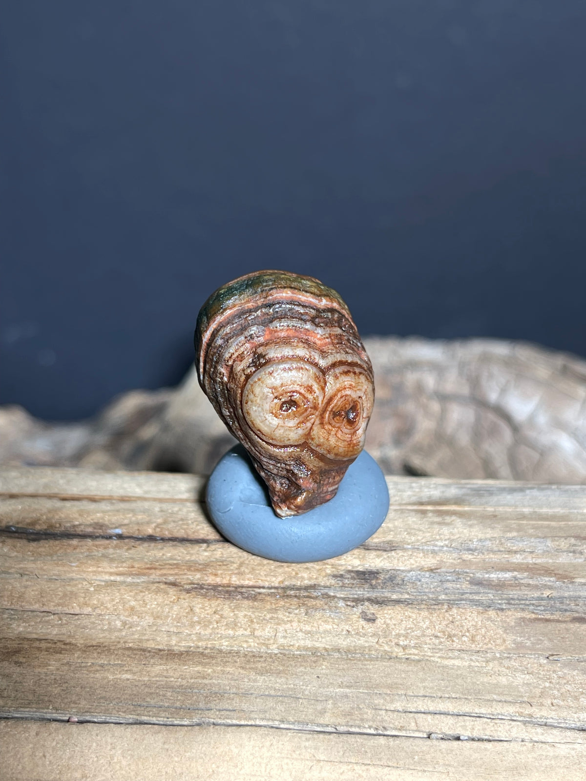 (1024)Natural Alxa Gobi Eye Agate - Owl-Like Double Eye Stone