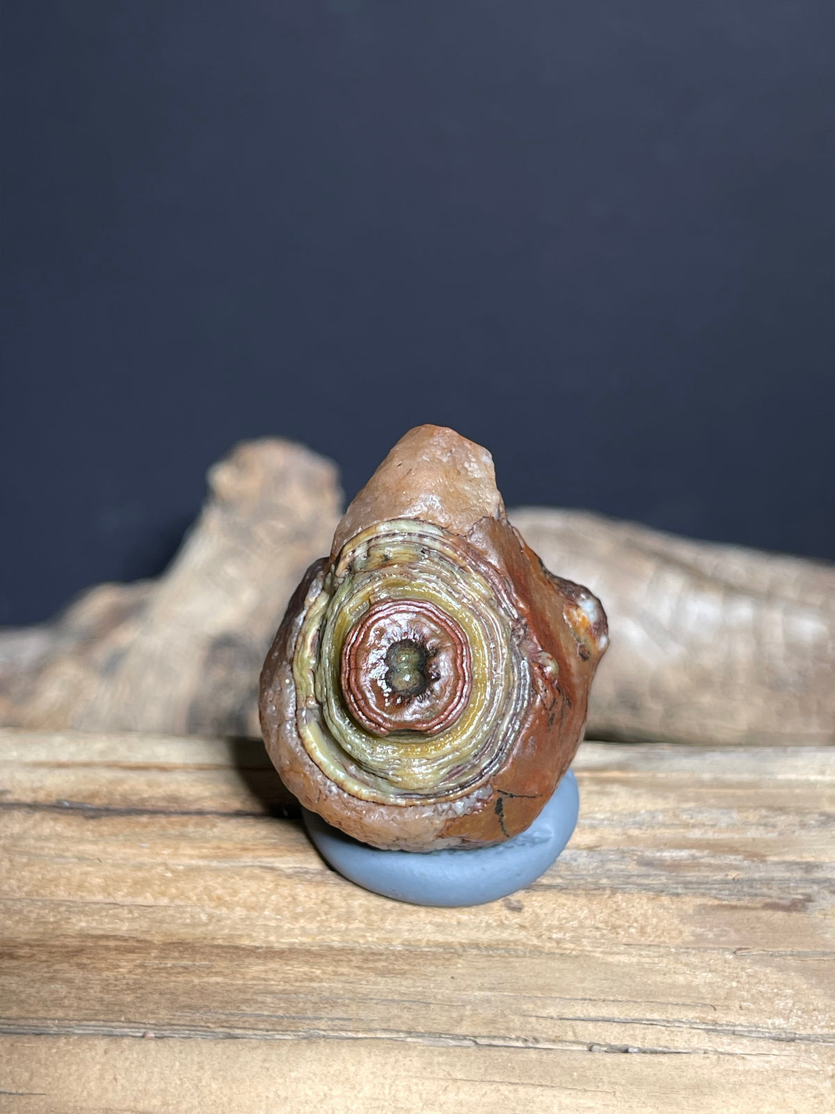 (1052)Natural Alxa Gobi Eye Agate - Multi-Eye Red & Green Collector Stone