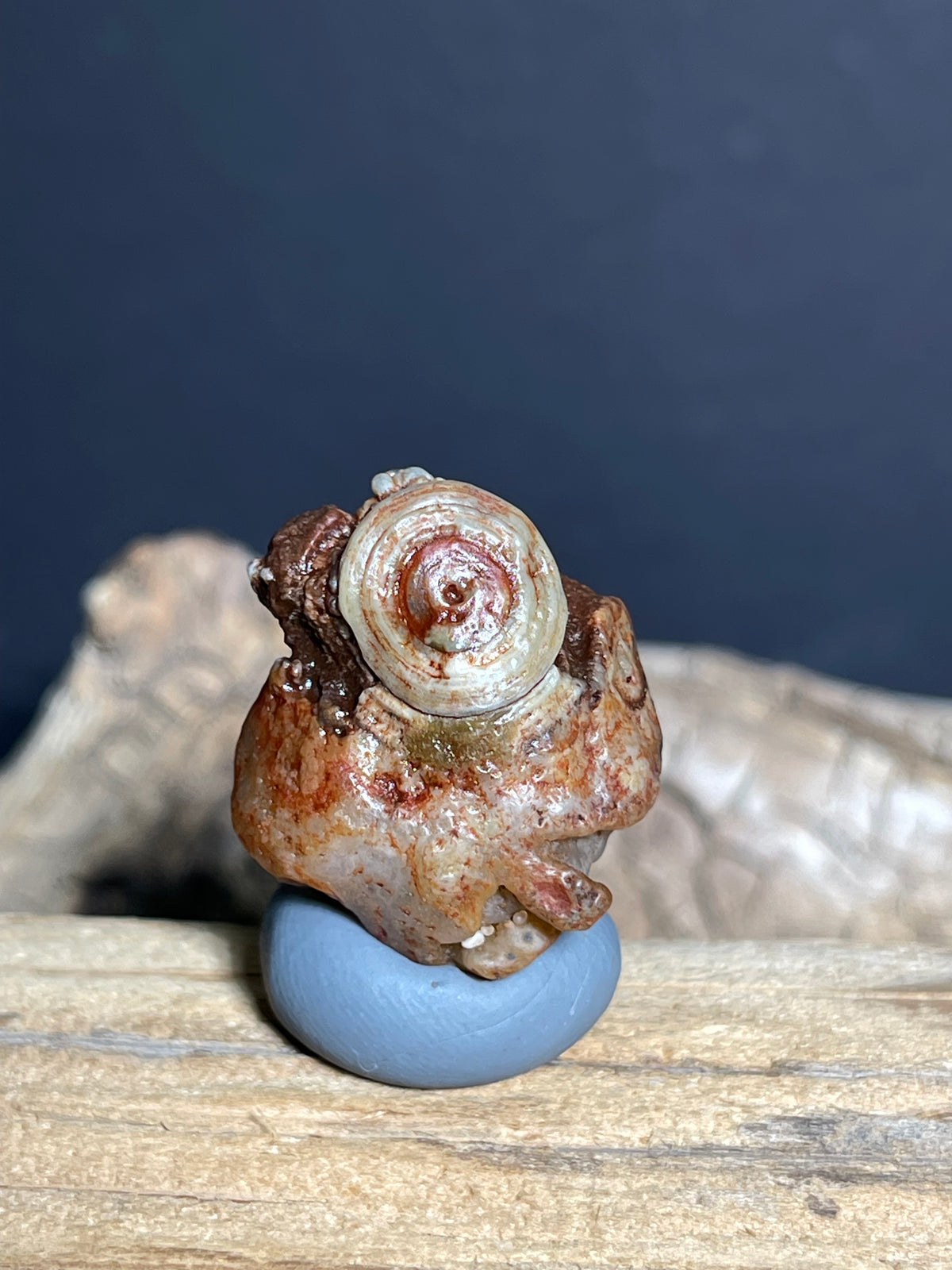 (1081)Natural Alxa Gobi Eye Agate - Animal-Like Single Eye Formation