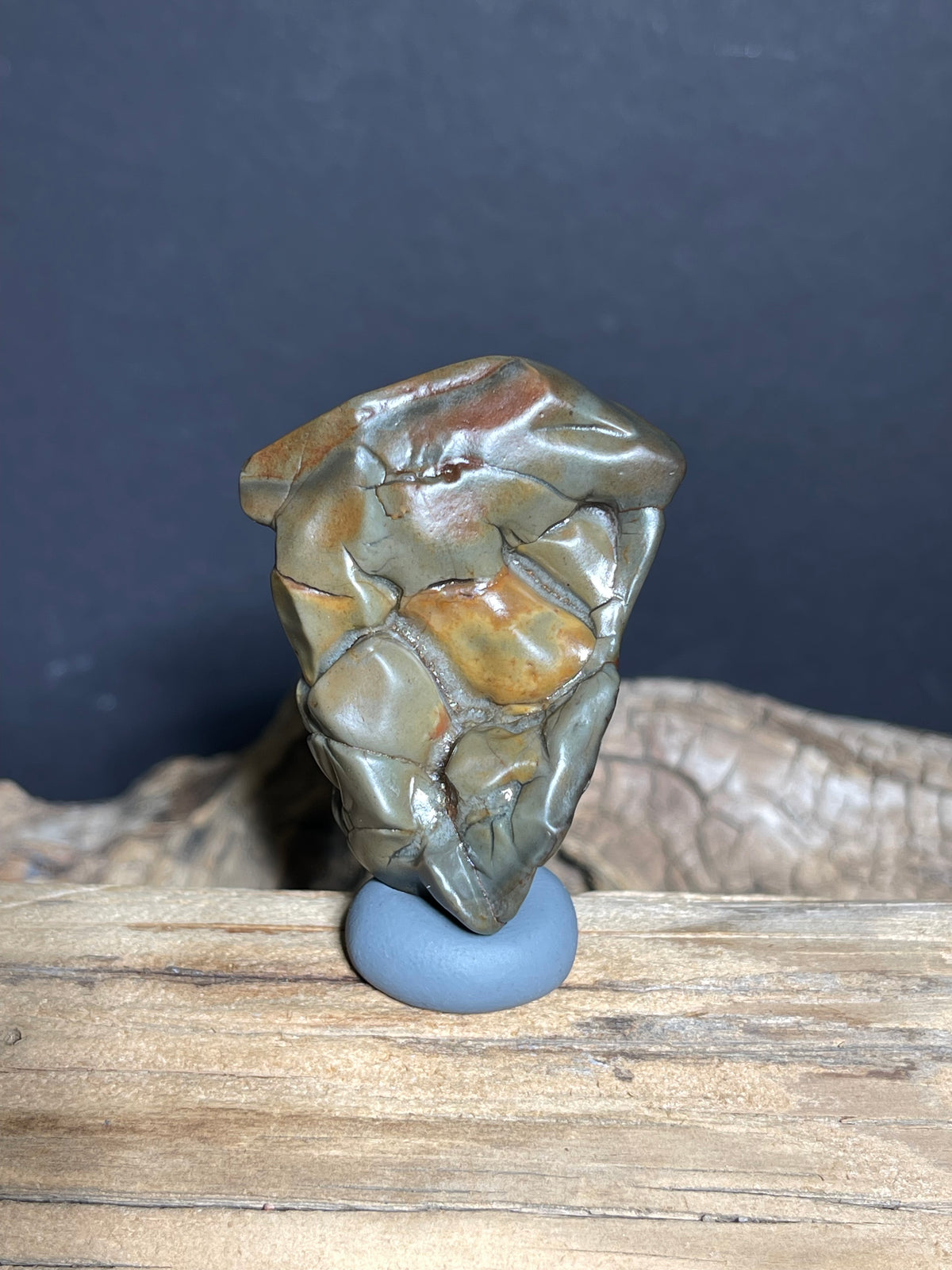 (1047)Natural Alxa Gobi Agate - “Horse Teeth” Sculpture Desert Stone
