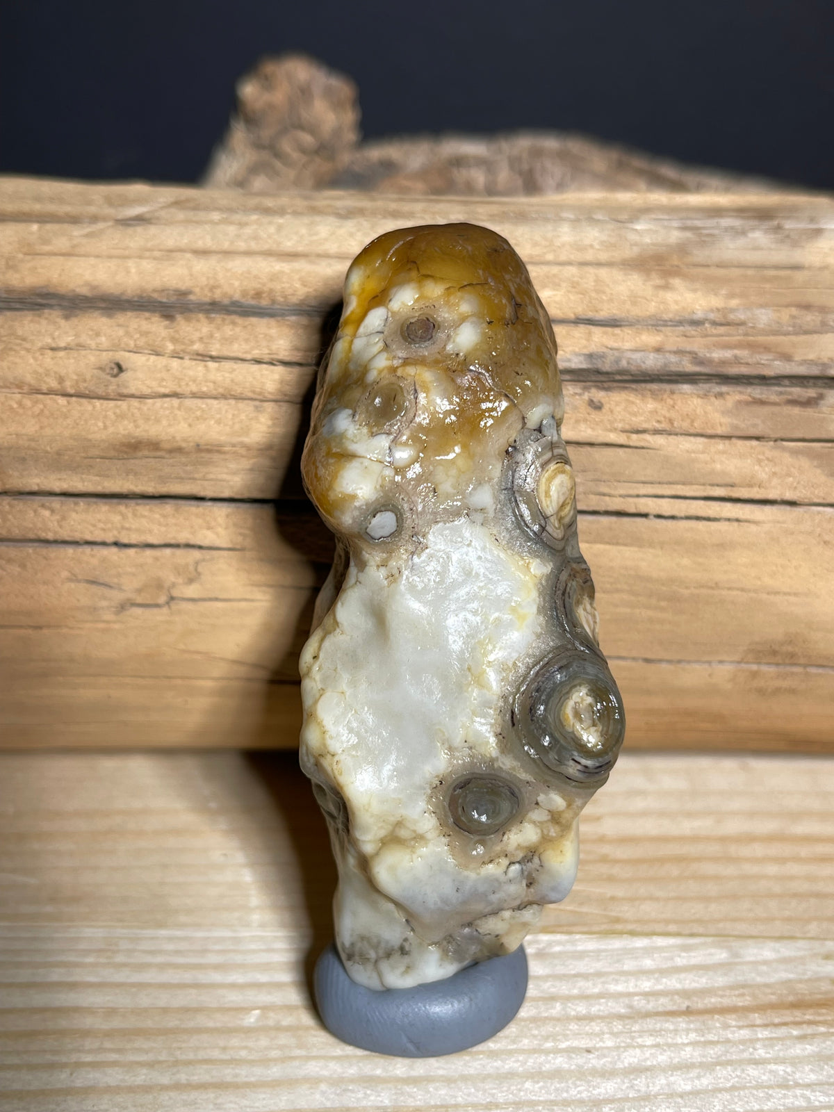 (1132) Alxa Gobi Eye Agate Specimen- Multiple Orbicular Eyes& natural weathering