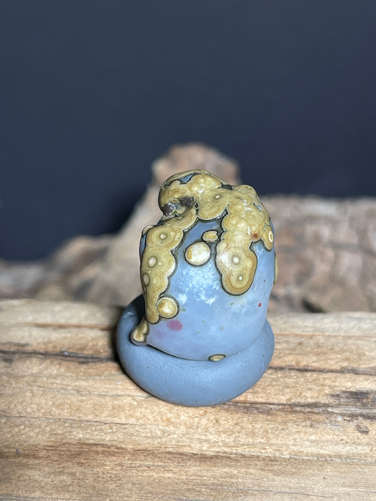 (1017)Natural Alxa Gobi Eye Agate - Blue Gray Stone with Golden Orbicular Eyes