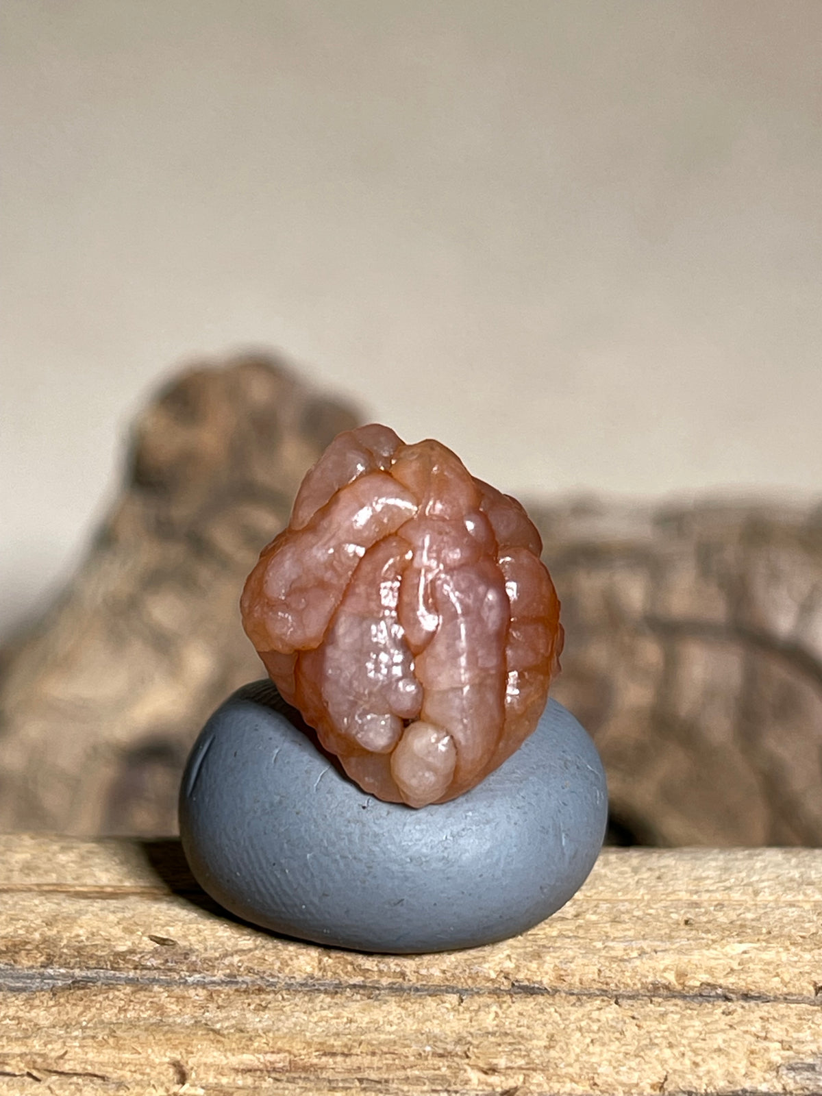 (1118)Natural Alxa Gobi Bloodline Vein Agate - Translucent Orange Botryoidal Specimen