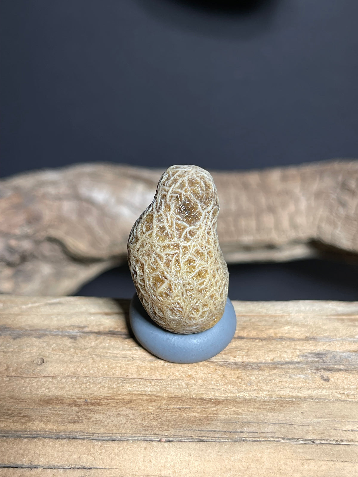 (1065)Natural Alxa Gobi Vein Agate - Dense Branching Vein Patterns
