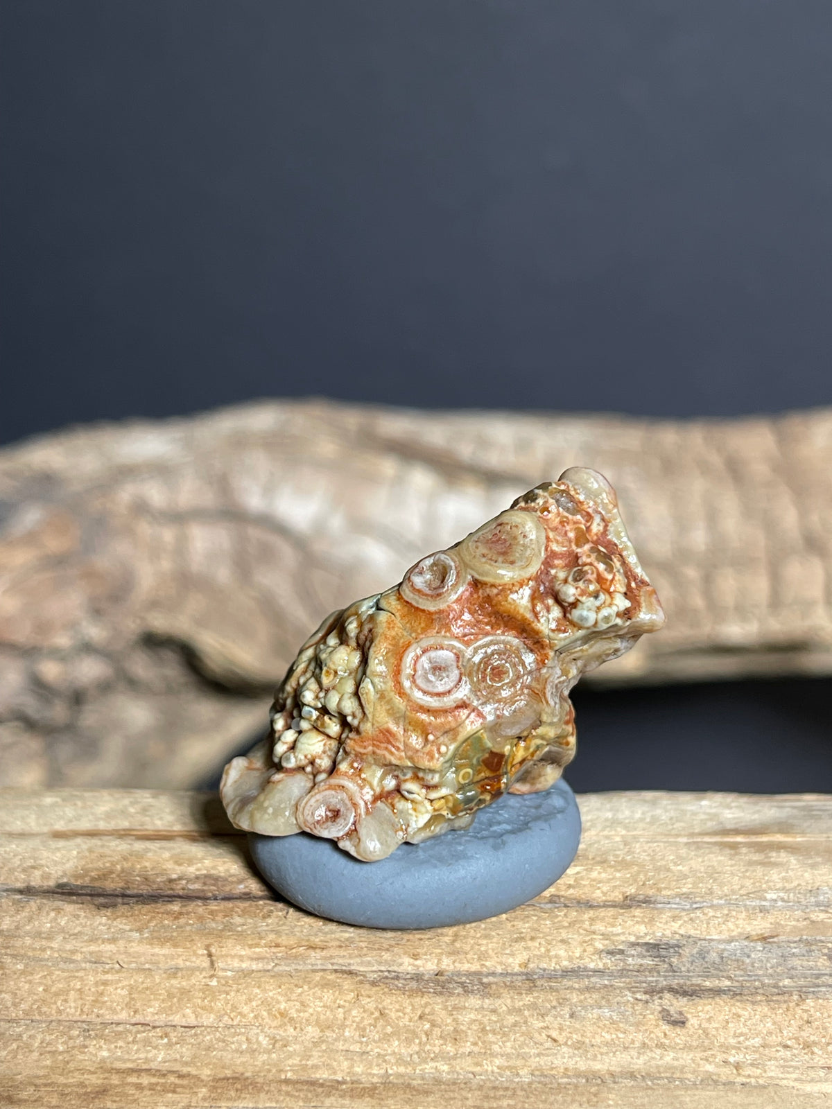 (1079)Ntural Alxa Gobi Eye Agate - Multi-Eye Animal-Like Formation