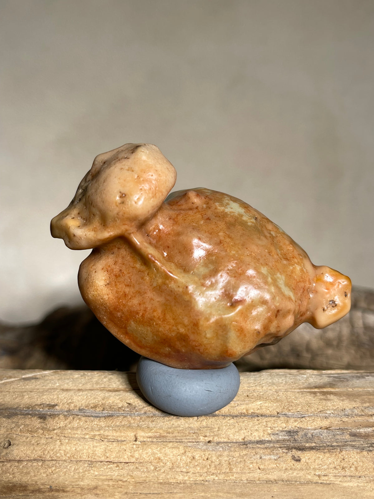 (1119)Natural Alxa Gobi Desert Varnish Stone - Bird-like Mimetolith