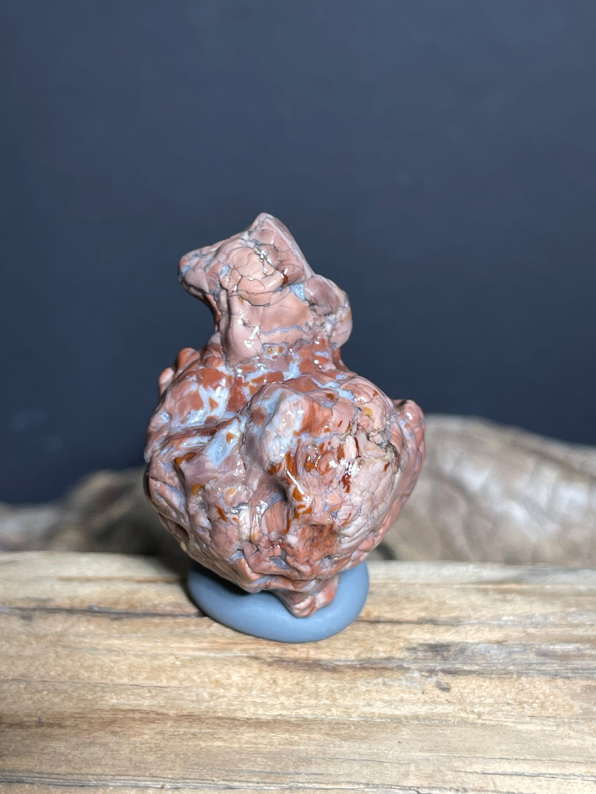 (1036)Natural Alxa Gobi Agate - Animal-Like Stone