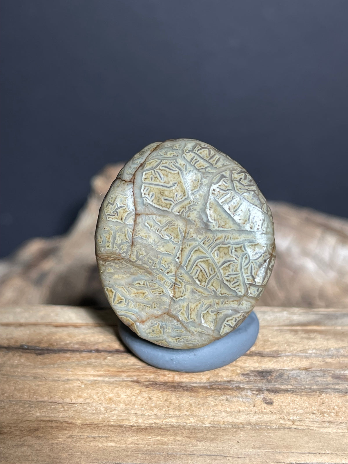 (1038)Natural Alxa Gobi Vein Agate - Intricate Maze-Like patterns
