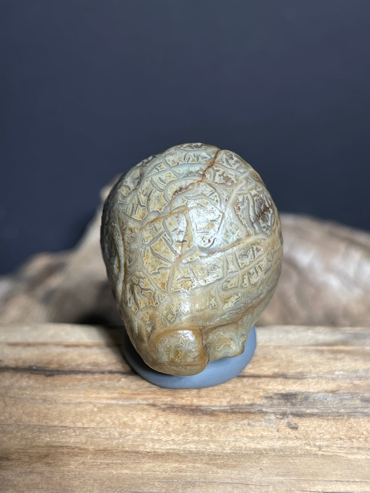 (1038)Natural Alxa Gobi Vein Agate - Intricate Maze-Like patterns