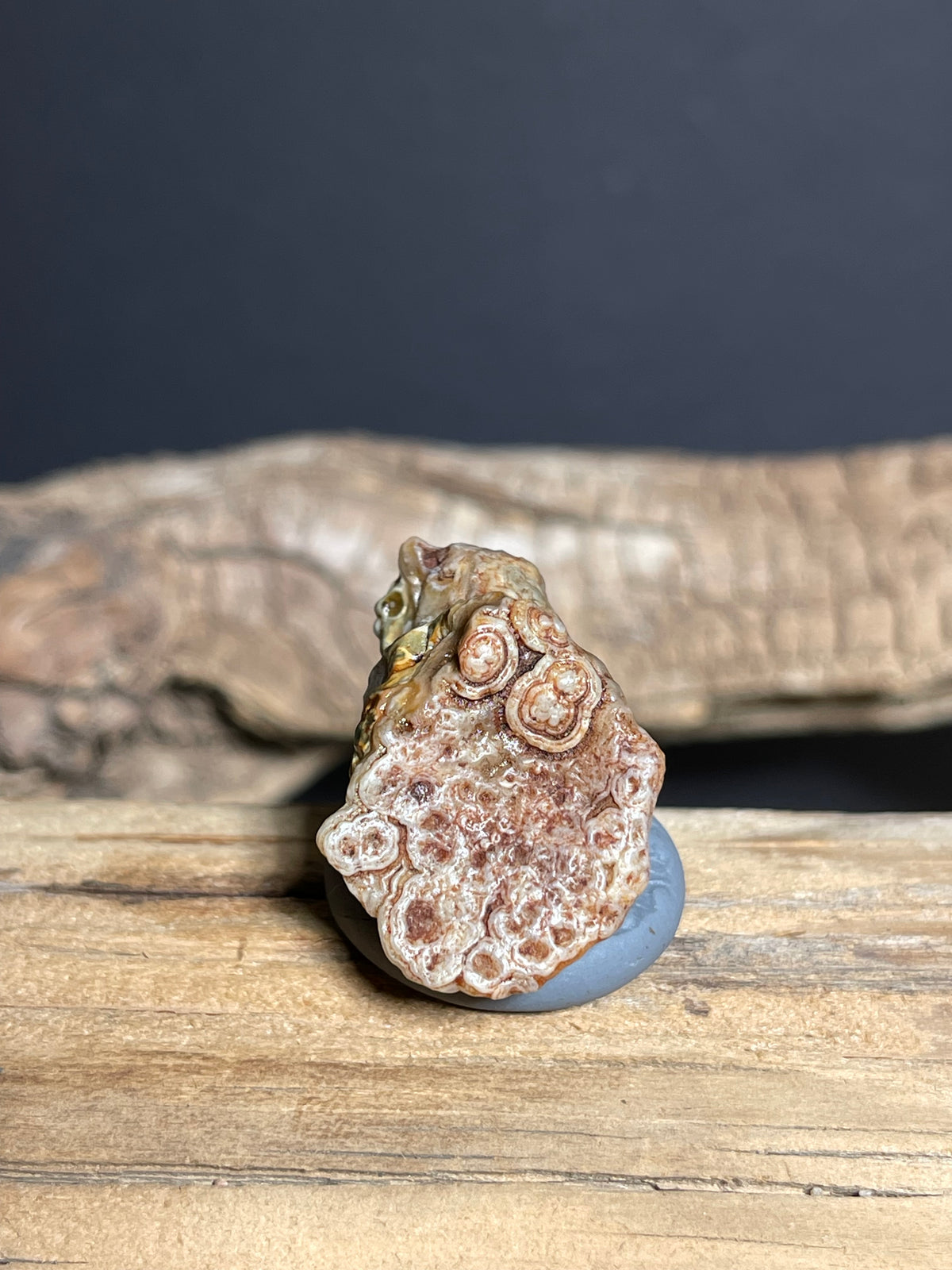 (1079)Ntural Alxa Gobi Eye Agate - Multi-Eye Animal-Like Formation