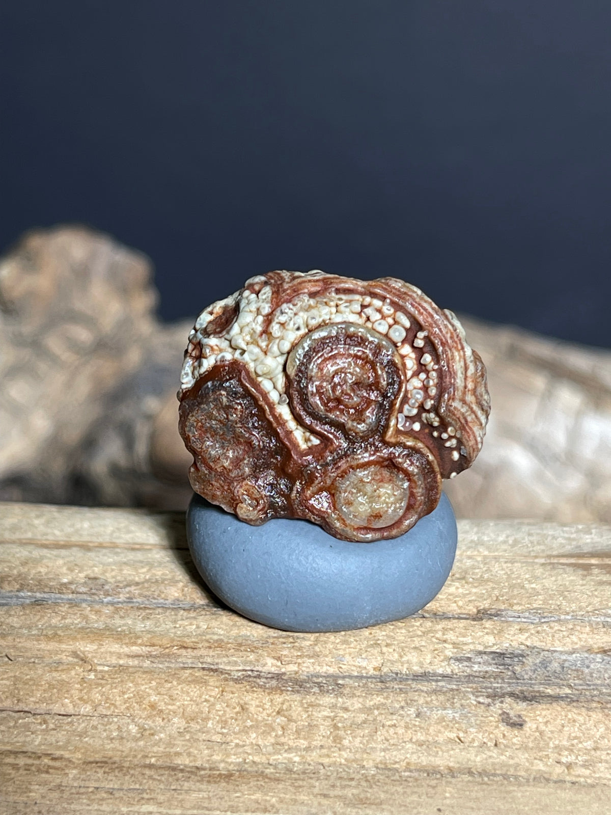 (1084)Natural Alxa Gobi Eye Agate - Multi-Eye Orbicular Pattern