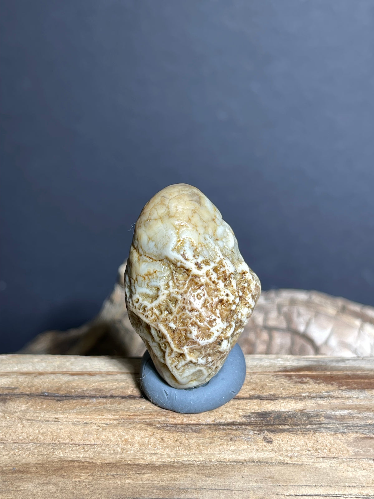 (1004)Natural Alxa Gobi Vein Agate with Lattice Pattern