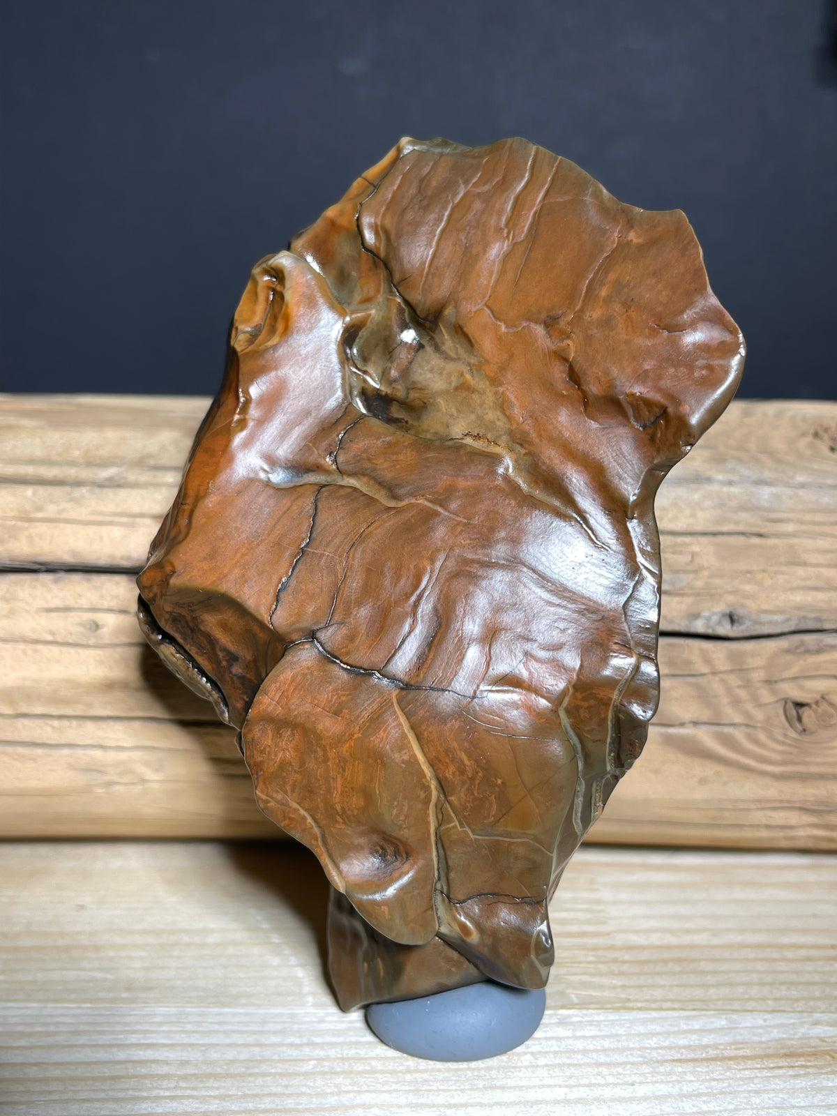 (1049)Large Natural Alxa Gobi Agate - Sculptural Brown Desert Stone