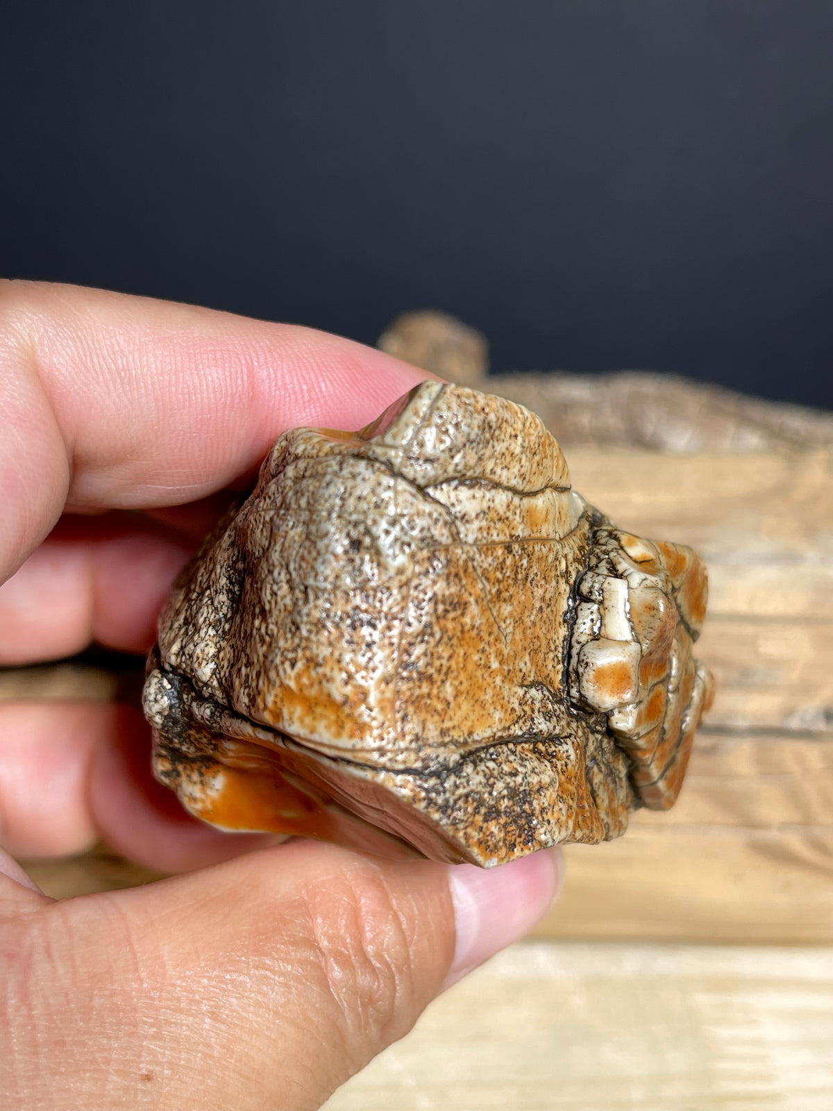 (1134) Alxa Gobi Desert Stone- Natural Desert Varnish& weathered surface
