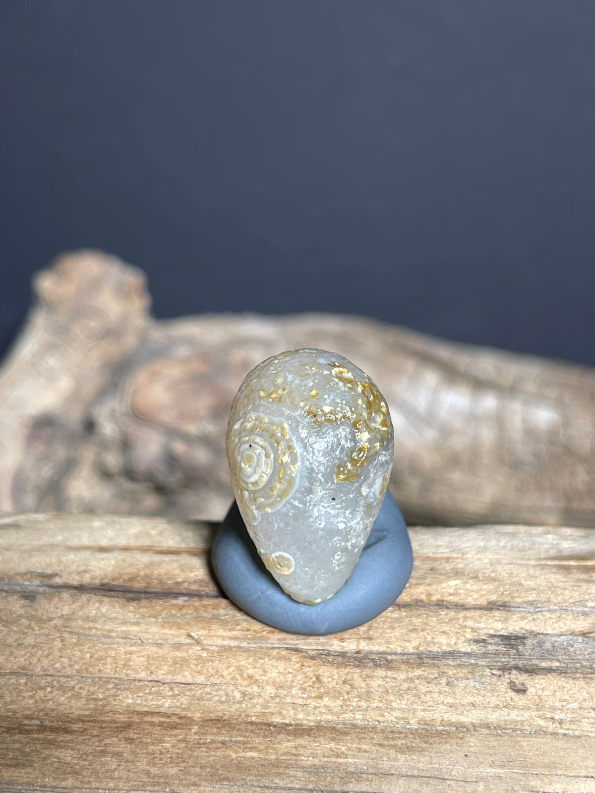 (1060)Natural Alxa Gobi Eye Agate - Fish-Shaped Mimetolith