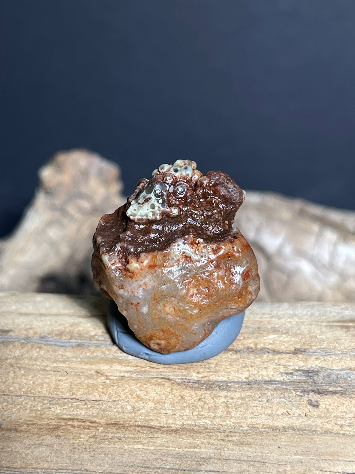 (1081)Natural Alxa Gobi Eye Agate - Animal-Like Single Eye Formation