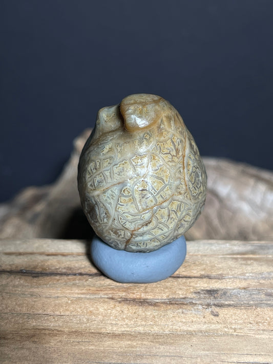 (1038)Natural Alxa Gobi Vein Agate - Intricate Maze-Like patterns
