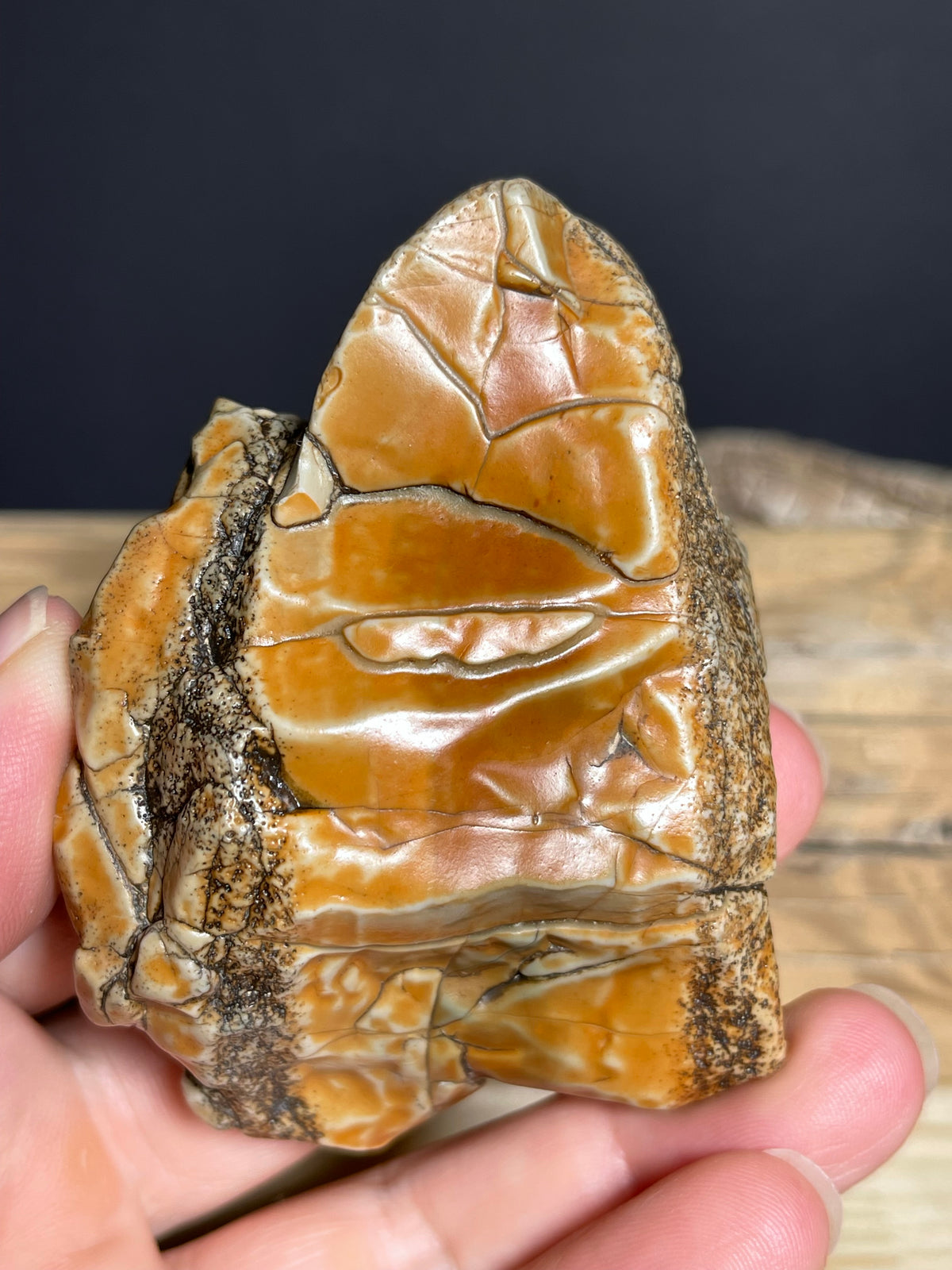 (1134) Alxa Gobi Desert Stone- Natural Desert Varnish& weathered surface