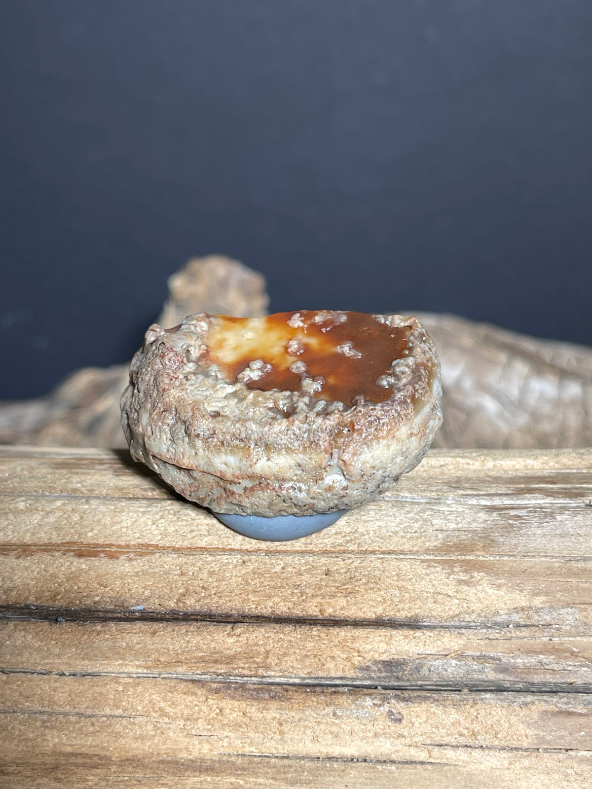 (1034)Natural Hulunbeir Gobi Agate - Two-Tone Brown & Cream Desert Stone