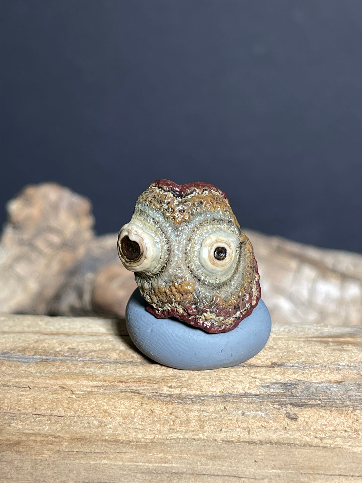(1089)Natural Alxa Gobi Eye Agate - Double Raised Eyes, Owl-Like Form