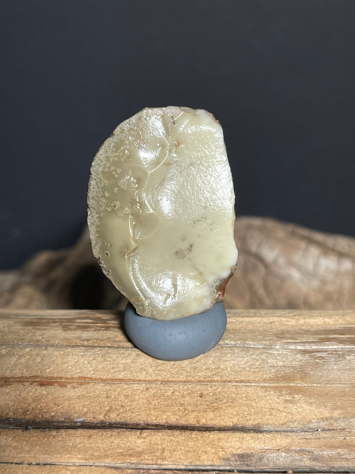 (1034)Natural Hulunbeir Gobi Agate - Two-Tone Brown & Cream Desert Stone